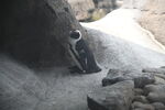 DSC_9156.JPG